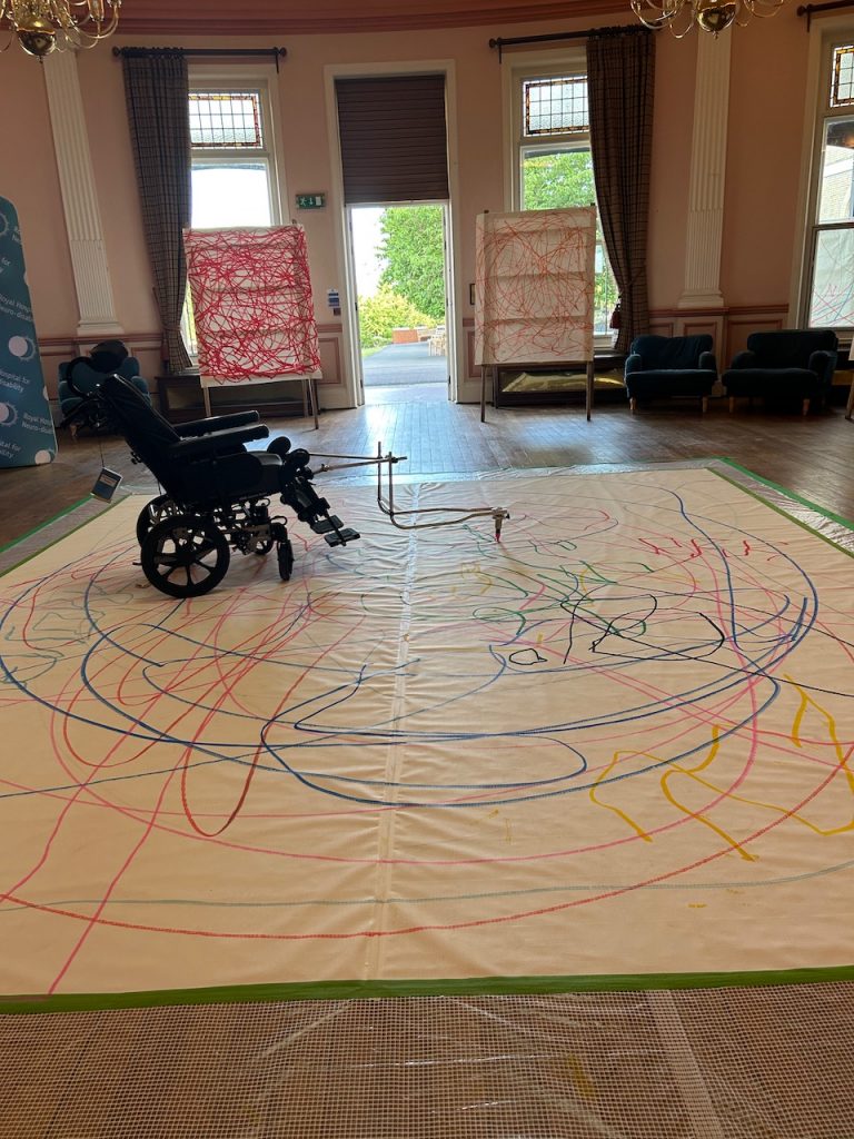 Roopa Design Emerge Assisted Art